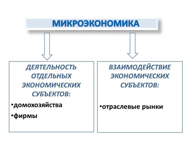 МИКРОЭКОНОМИКА ДЕЯТЕЛЬНОСТЬ ОТДЕЛЬНЫХ ЭКОНОМИЧЕСКИХ СУБЪЕКТОВ: домохозяйства   фирмы ВЗАИМОДЕЙСТВИЕ ЭКОНОМИЧЕСКИХ СУБЪЕКТОВ:  отраслевые